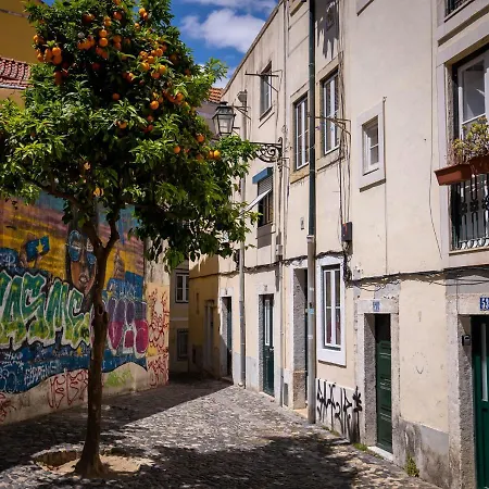 Great In Historical Center